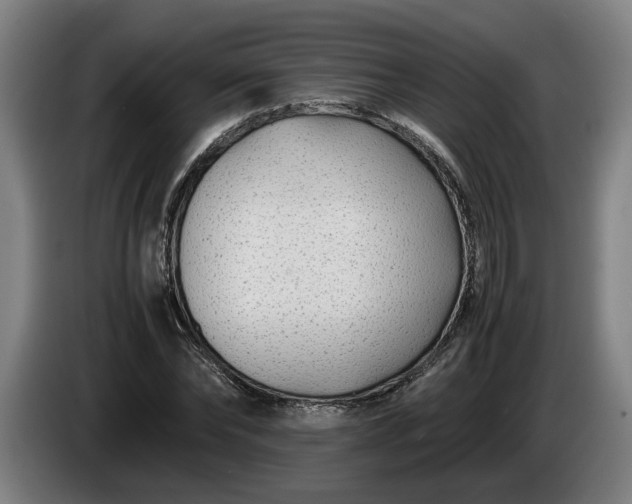 X0000085790878200703301449