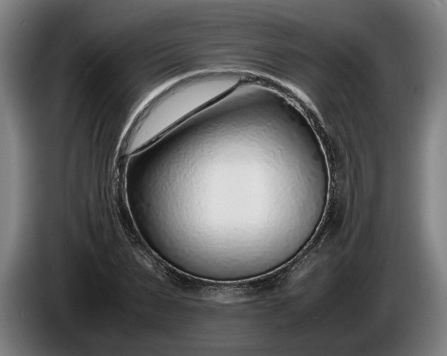 X0000085790879200703301449