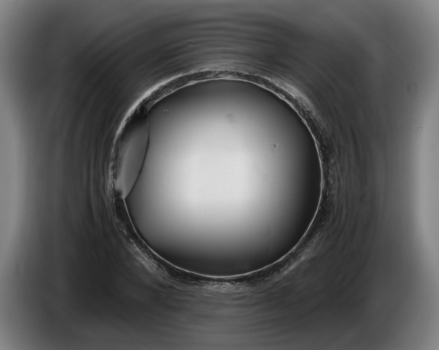X0000085790880200703301449