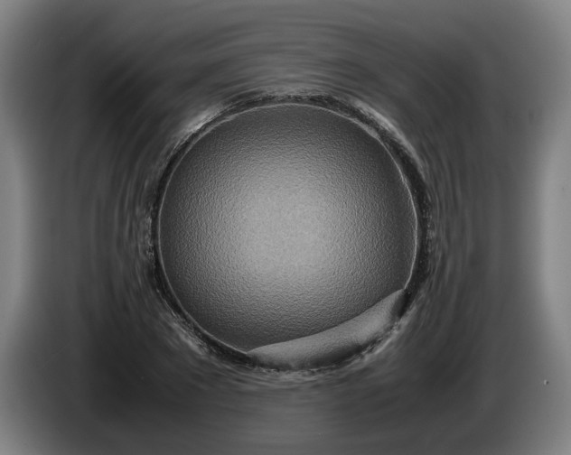 X0000085790881200703301449