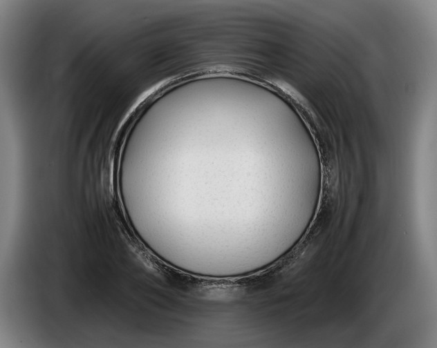 X0000085790886200703301449