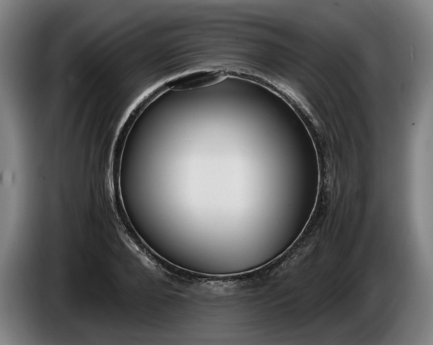 X0000085790888200703301449