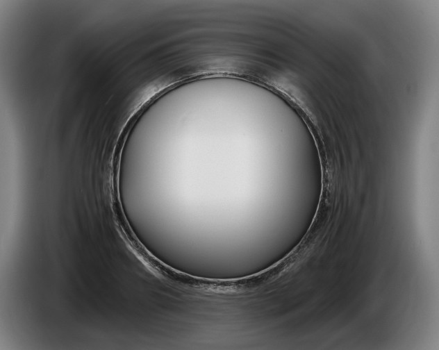 X0000085790890200703301449
