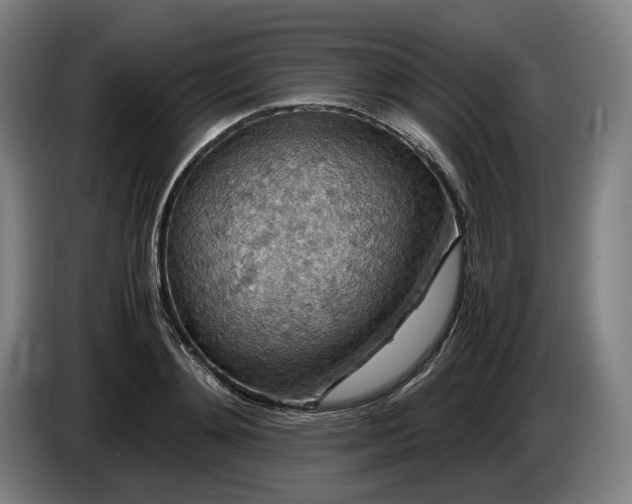 X0000085790892200703301449