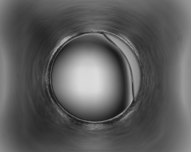 X0000085790893200703301449