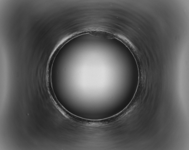 X0000085790894200703301449