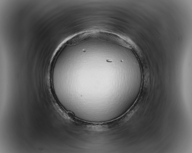 X0000085790896200703301449