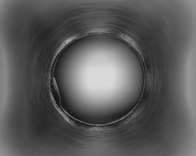 X0000085790898200703301449