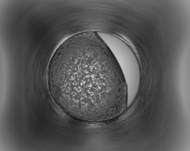 X0000085790899200703301449