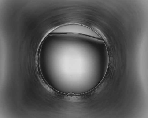 X0000085790900200703301448