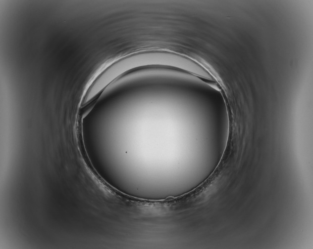 X0000085790901200703301448