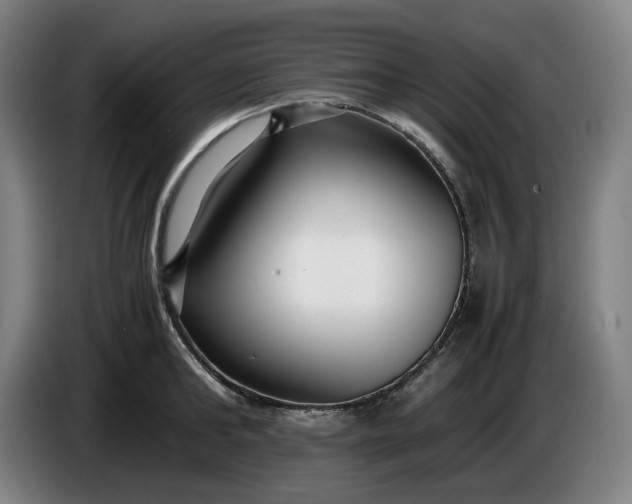 X0000085790902200703301448