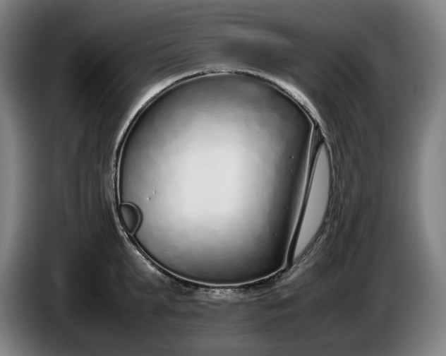X0000085790903200703301448