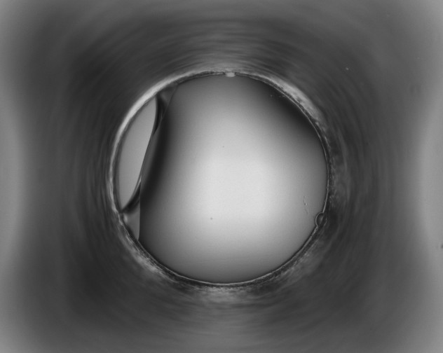 X0000085790904200703301448