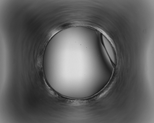 X0000085790905200703301448