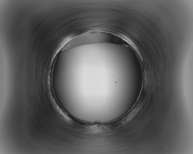 X0000085790906200703301448