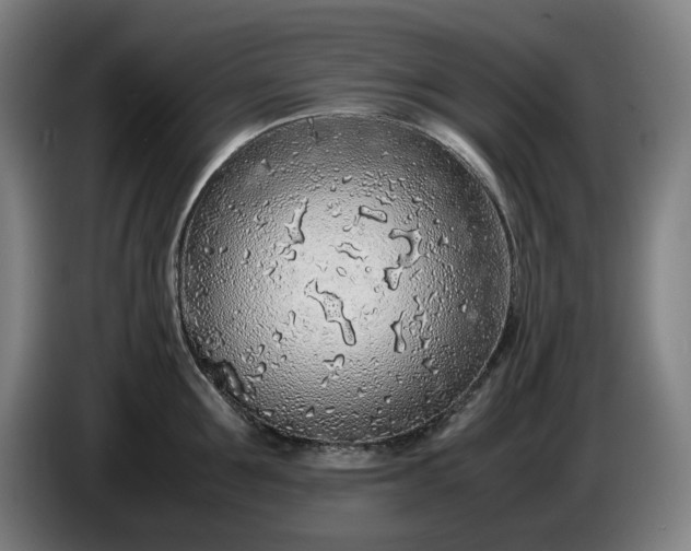 X0000085790907200703301448