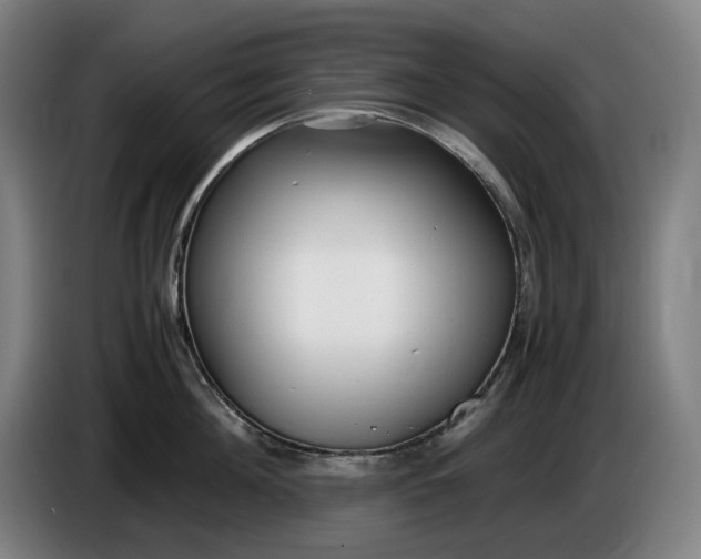 X0000085790908200703301448