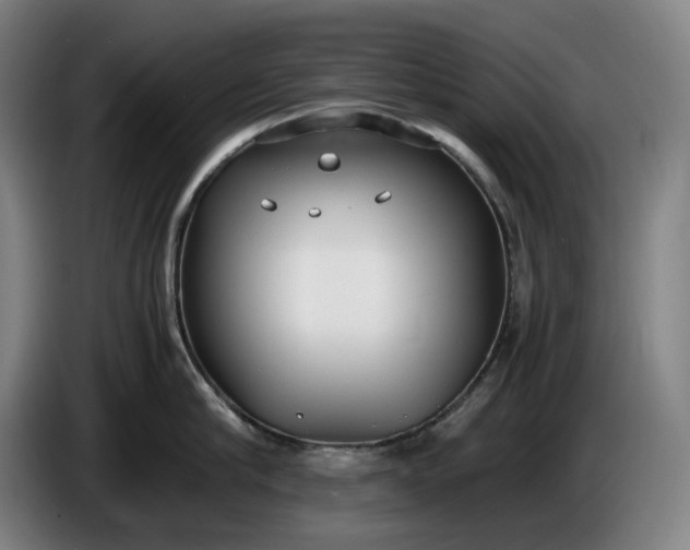 X0000085790910200703301448