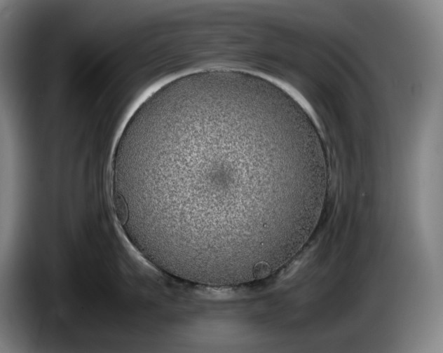 X0000085790911200703301448