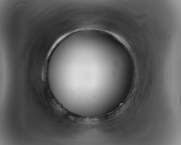 X0000085790912200703301448