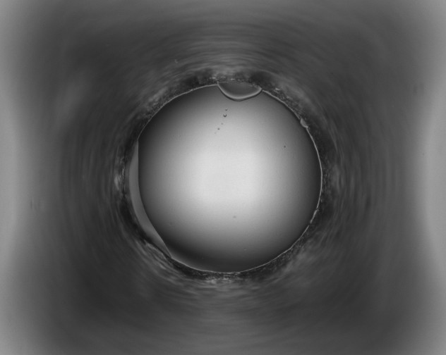 X0000085790914200703301448
