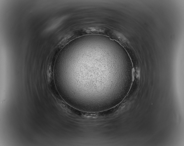 X0000085790915200703301448