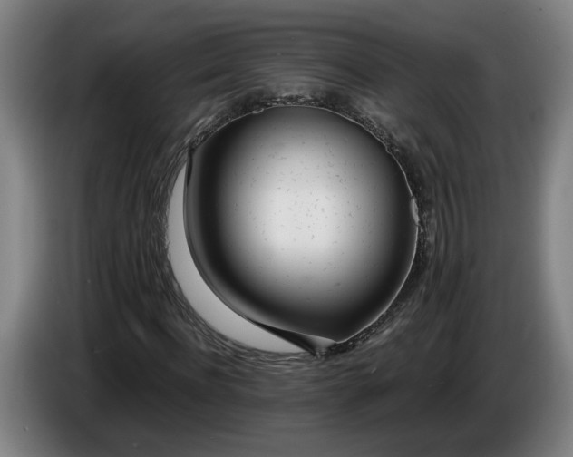 X0000085790916200703301448