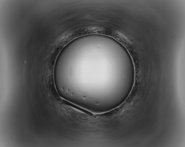 X0000085790917200703301448