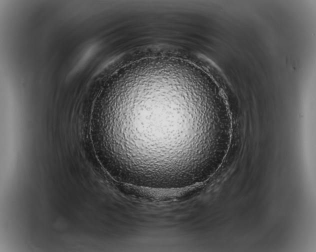 X0000085790919200703301448
