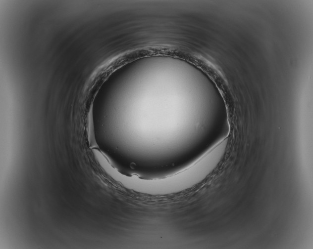 X0000085790920200703301448