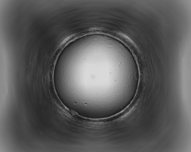 X0000085790921200703301448