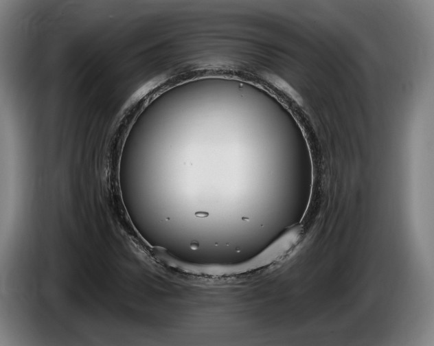 X0000085790922200703301448