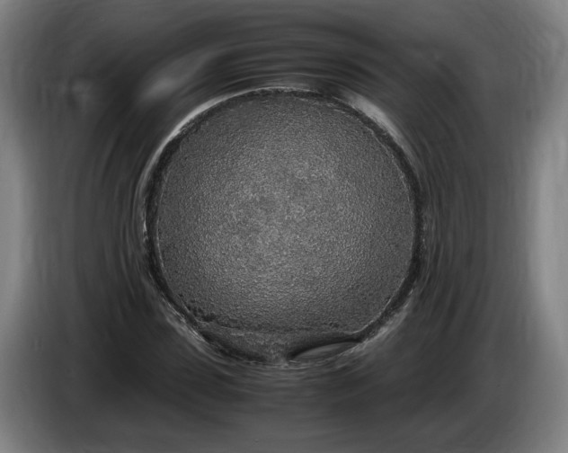 X0000085790923200703301448