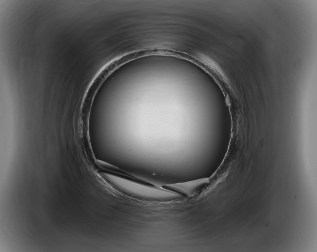 X0000085790924200703301448