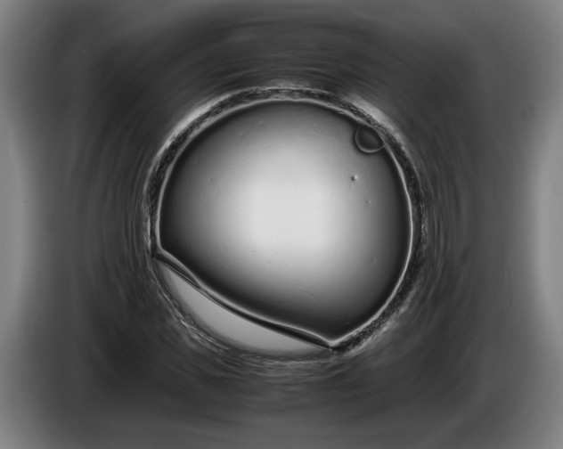 X0000085790925200703301448