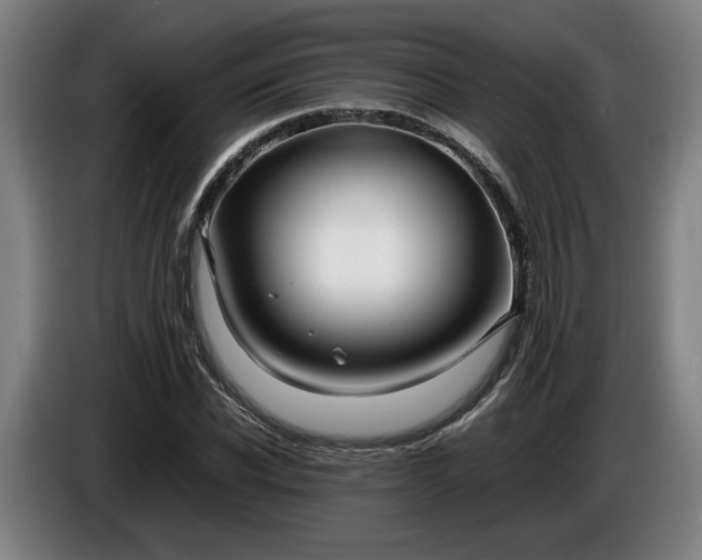 X0000085790926200703301448