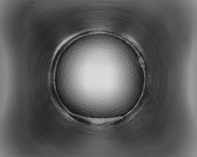 X0000085790928200703301448