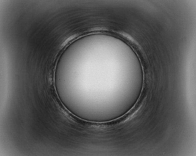 X0000085790929200703301448
