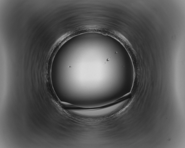 X0000085790930200703301448