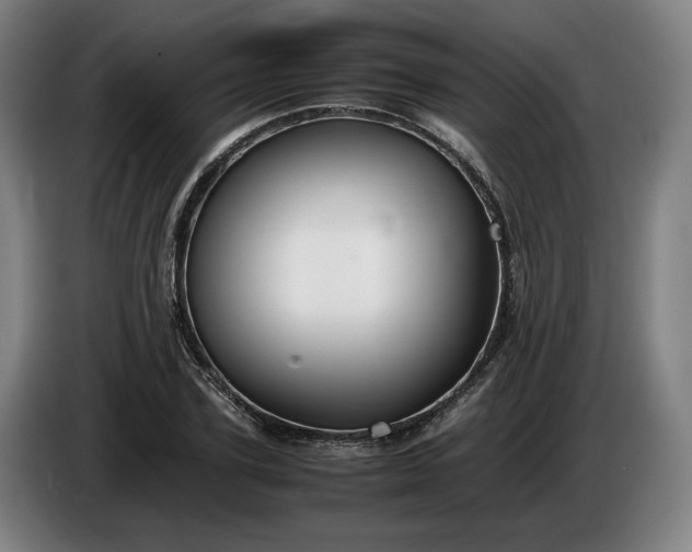 X0000085790931200703301448