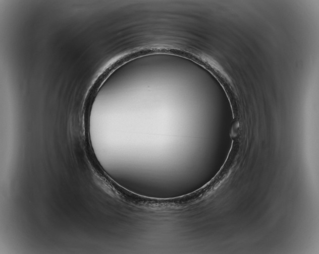 X0000085790934200703301448