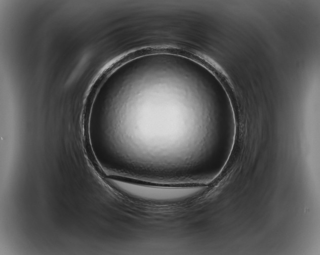 X0000085790935200703301448