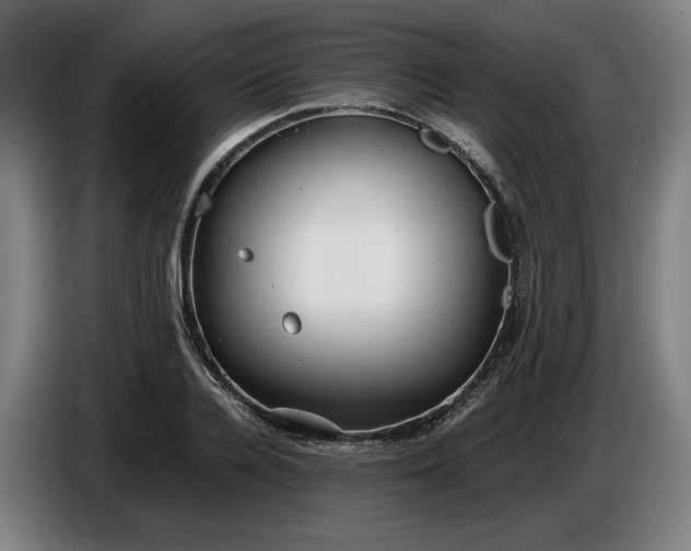 X0000085790936200703301448