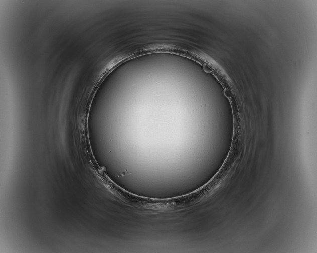 X0000085790937200703301448