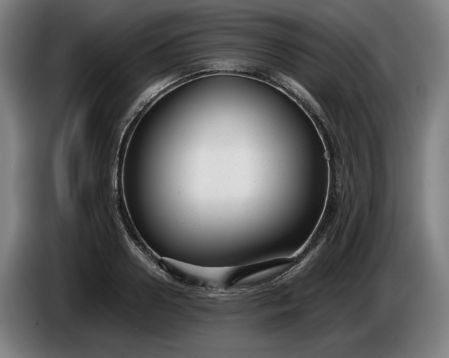 X0000085790938200703301448