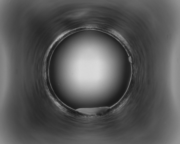 X0000085790939200703301448