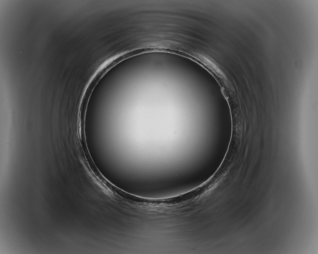 X0000085790940200703301448
