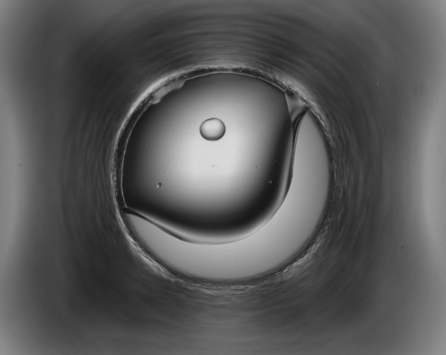 X0000085790942200703301448
