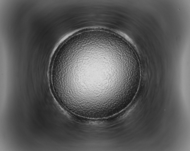 X0000085790943200703301448